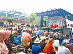 件件实事惠平易近生 桩桩功德暖——沙河店镇团